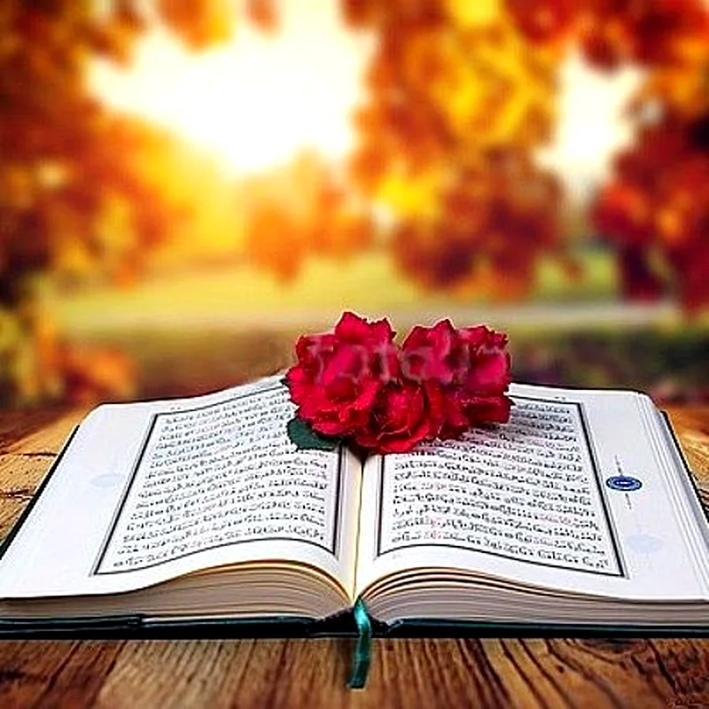 Quran With Tajweed and School Arabic63442182912897112