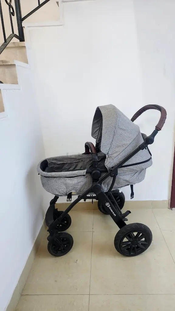 Stroller63205359309442113