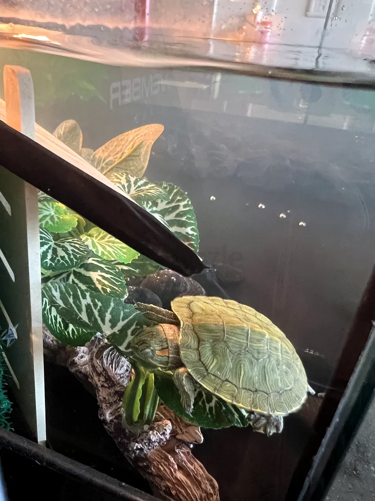 Turtle tank (TORTUM 75) with full extras and accessories63263493972481114