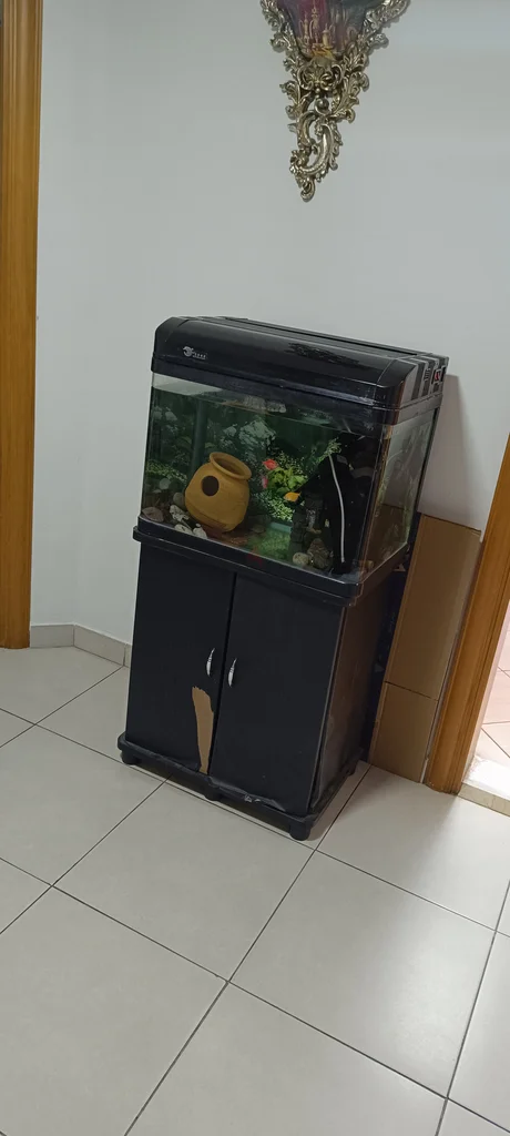 Stylish 2-in-1 Aquarium Cabinet with Tank62930650348675118