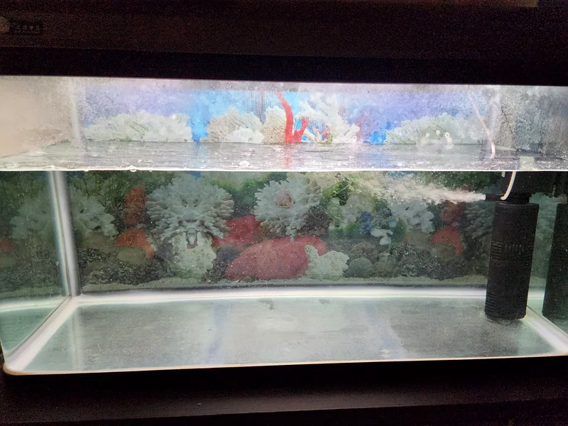 Fish tank for sale63232649275651113