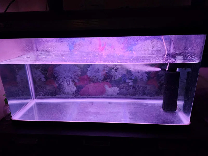 Fish tank for sale63232649275651117