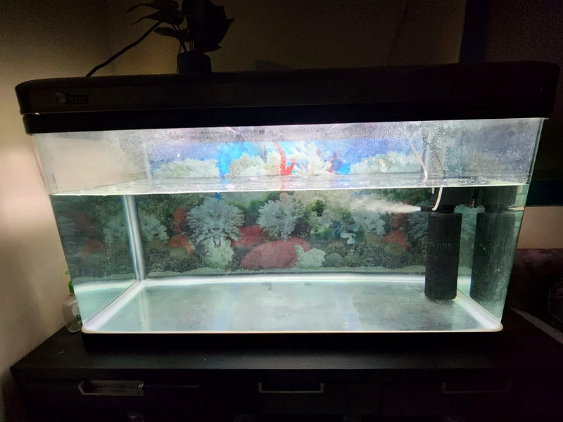 Fish tank for sale63232649275651111