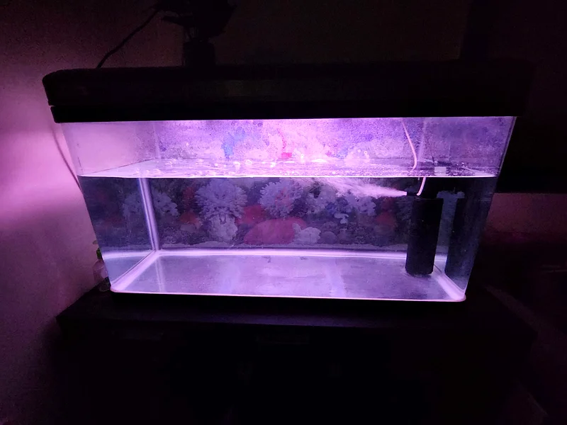 Fish tank for sale63232649275651112