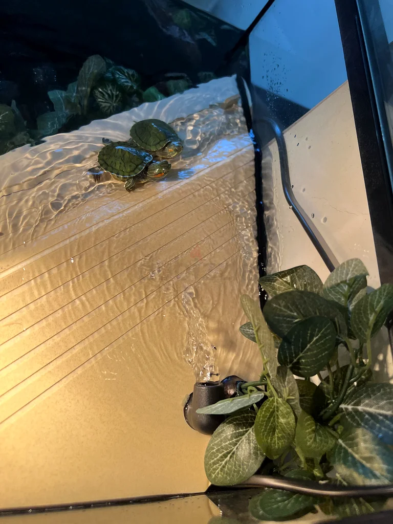 Turtle tank (TORTUM 75) with full extras and accessories63263493972481112