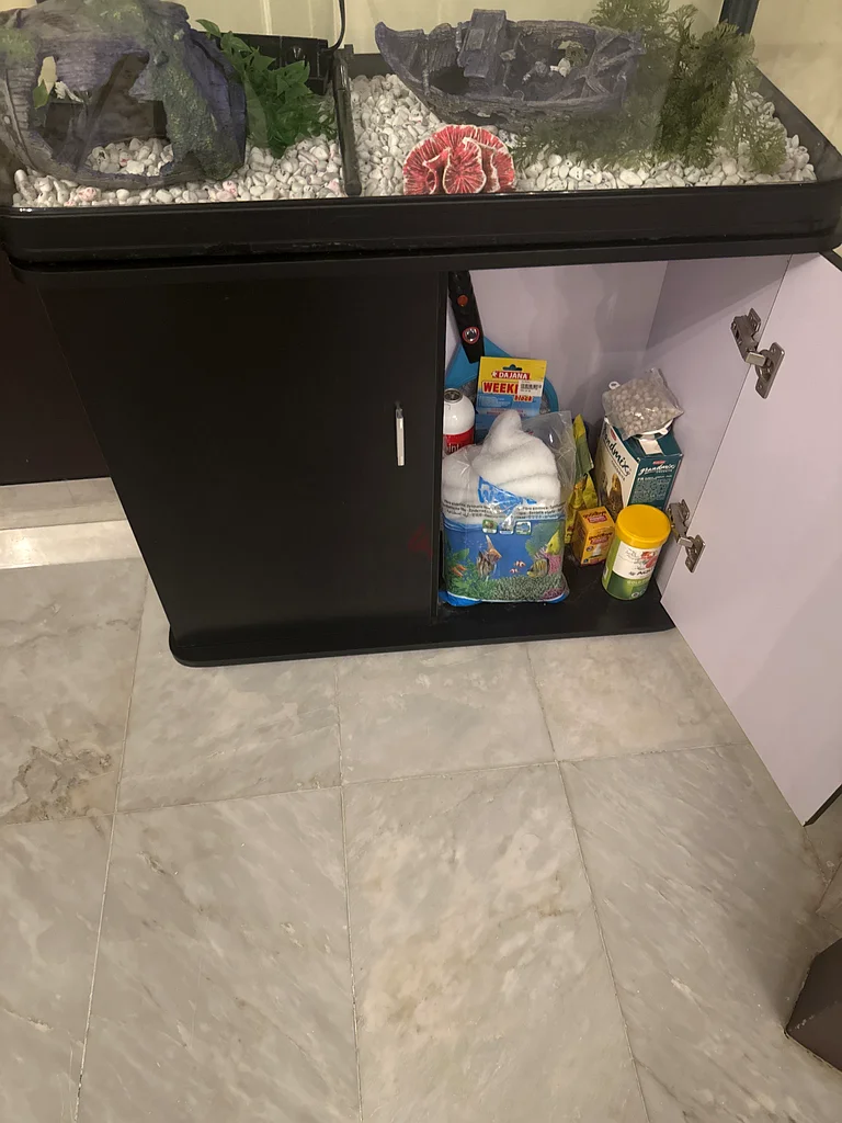حوض السمك63232648922498111
