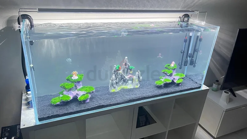300L Big Fish Aquarium for Sale62930650336643111