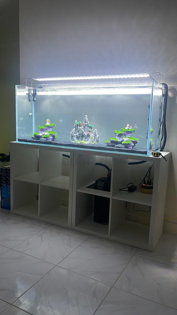300L Big Fish Aquarium for Sale629306503366431110