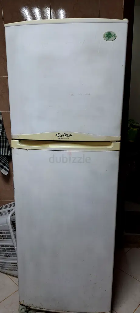 Reliable EcoFresh Refrigerator for Sale
