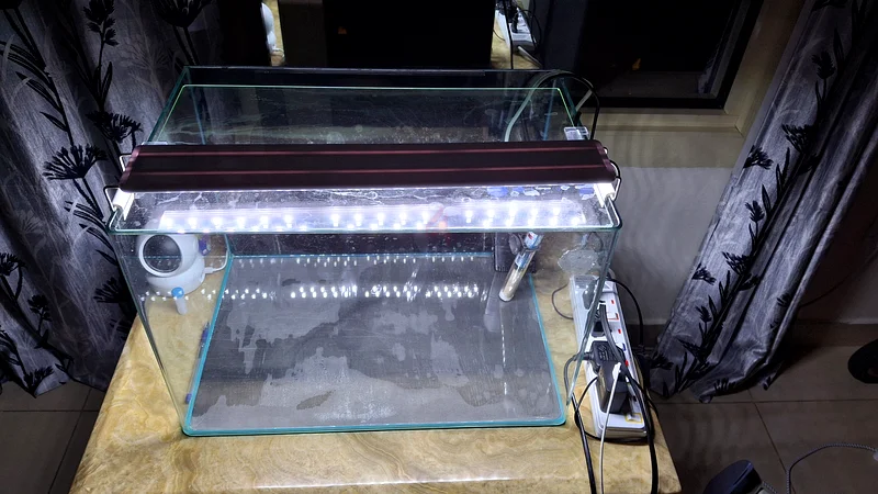 Fish tank large aquarium for sale63174797922561111