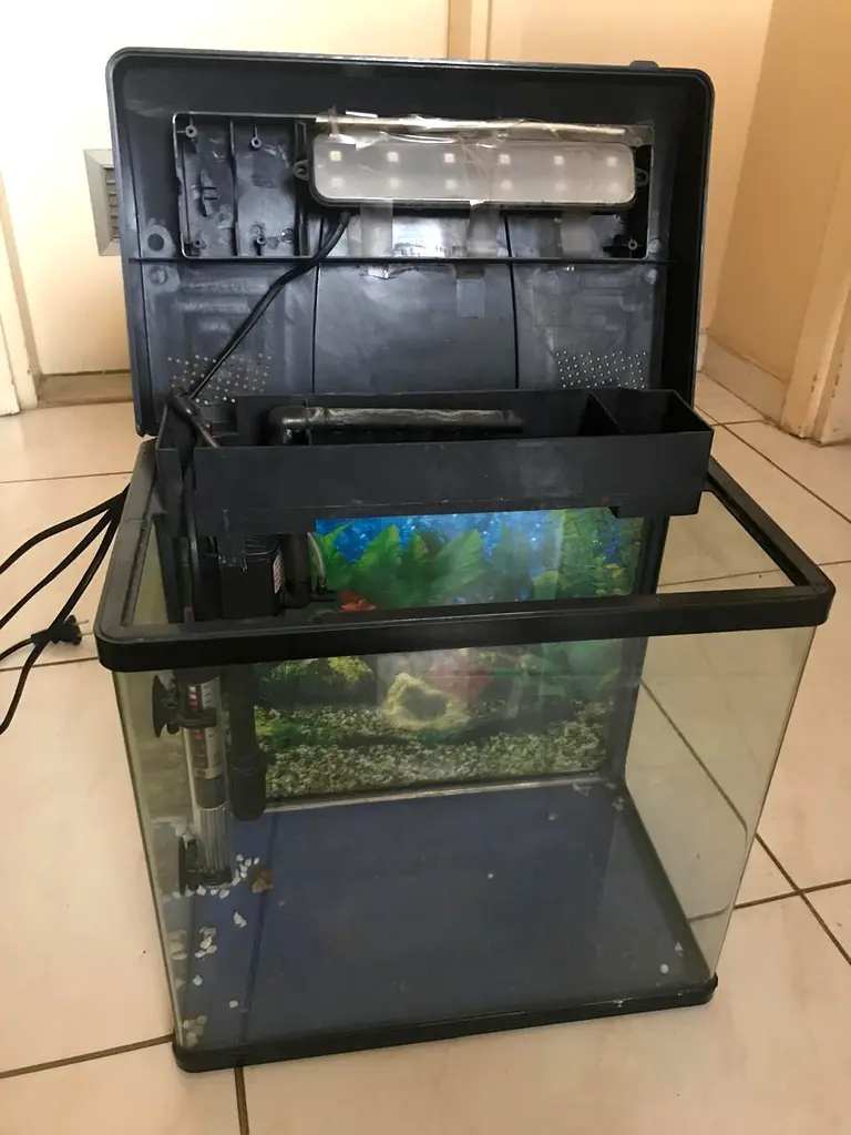 Complete Fish Aquarium Setup for Sale!