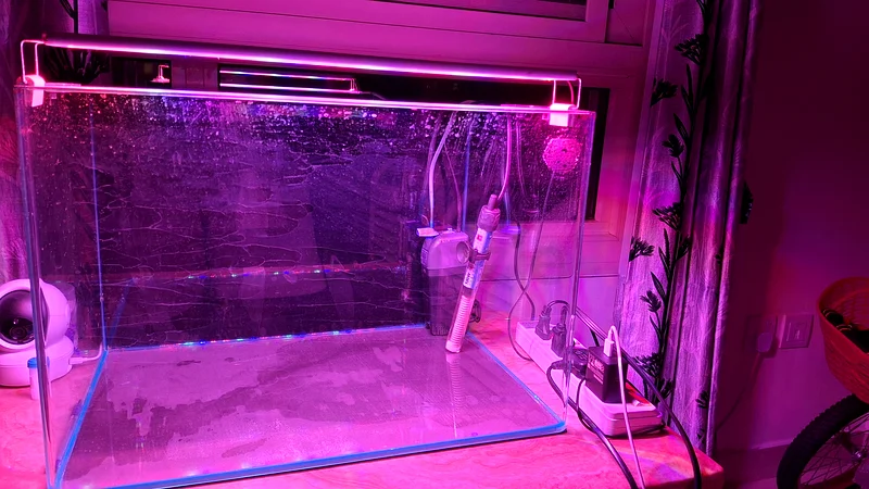 Fish tank large aquarium for sale63174797922561114