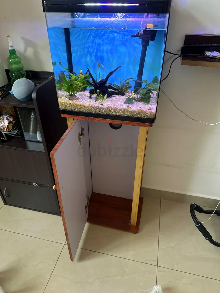 حوض سمك مذهل مع حامل - مثالي لمنزلك!63263494062338113