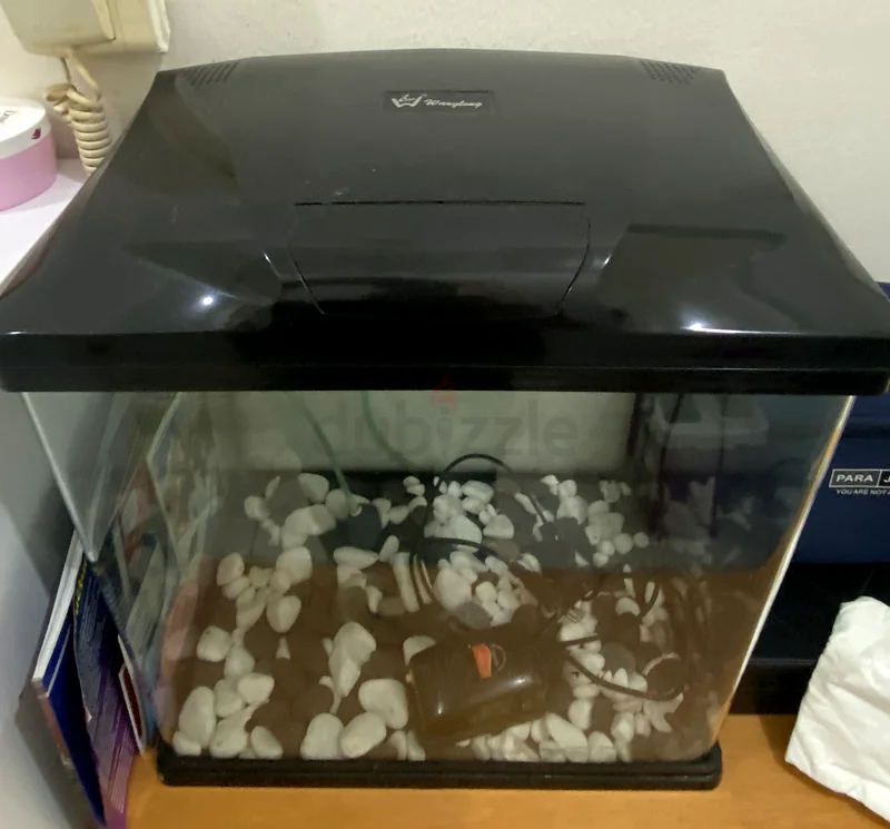 Fish tank and accessories for sale62930650571521112