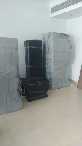 Champion movers and Packers