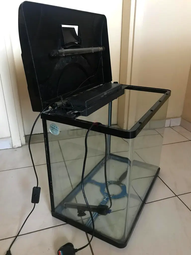 Aquarium Setup for Your Furry Friends!