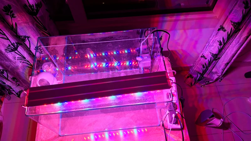 Fish tank large aquarium for sale63174797922561113