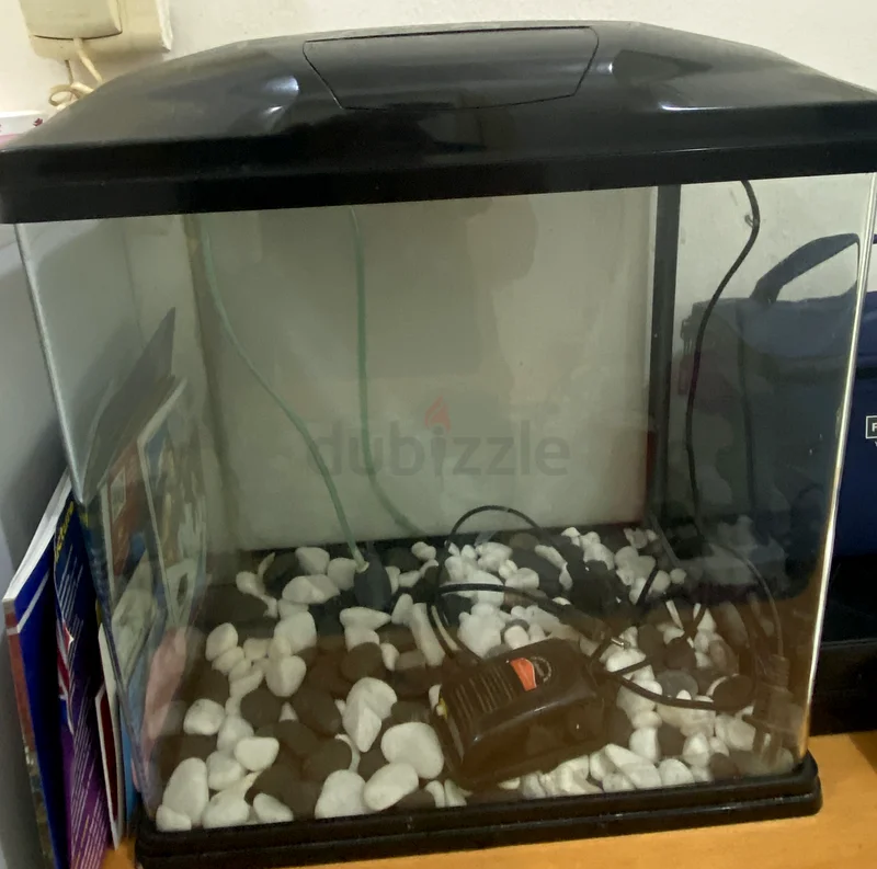 Fish tank and accessories for sale62930650571521111