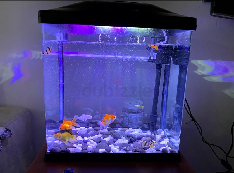 Fish tank and accessories for sale62930650571521113