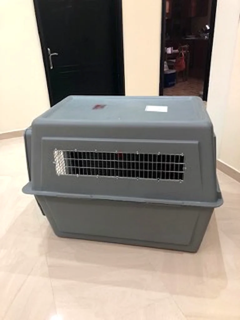 Dogs carriers for air travel62930650506113114