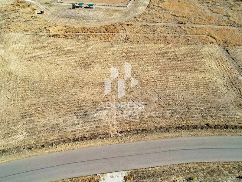 Industrial Land  Al Qasimia 3—Plot on Main road62864665270275112