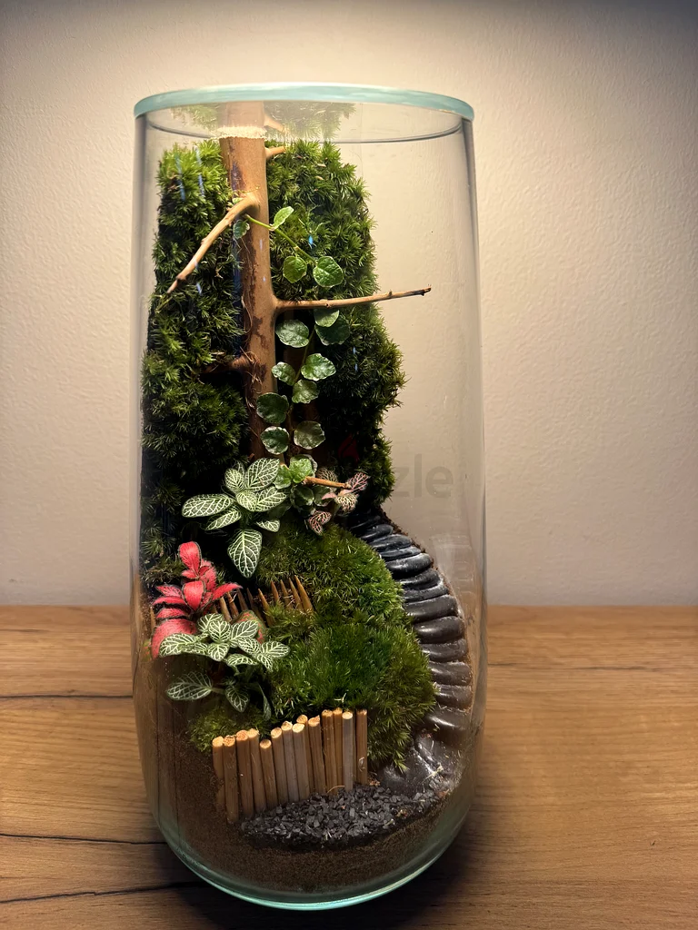 Charming Glass Terrarium - Natures Miniature Garden63183732307073114