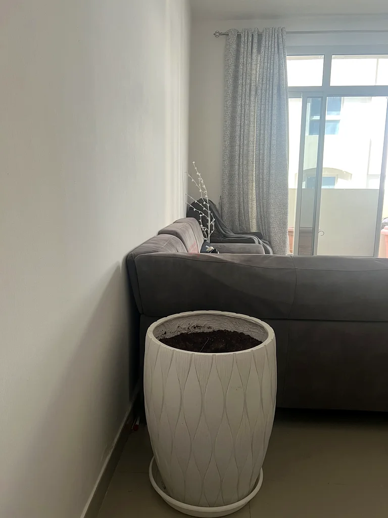 وعاء النبات63220828086787111