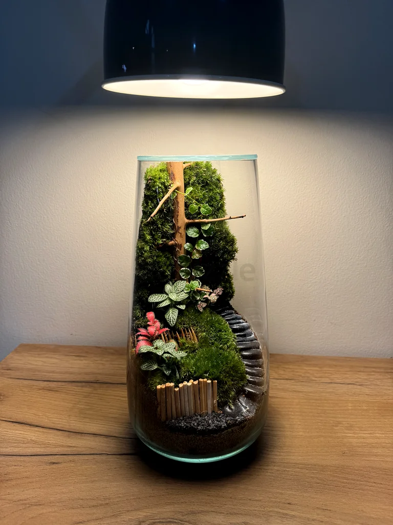 Charming Glass Terrarium - Natures Miniature Garden63183732307073113