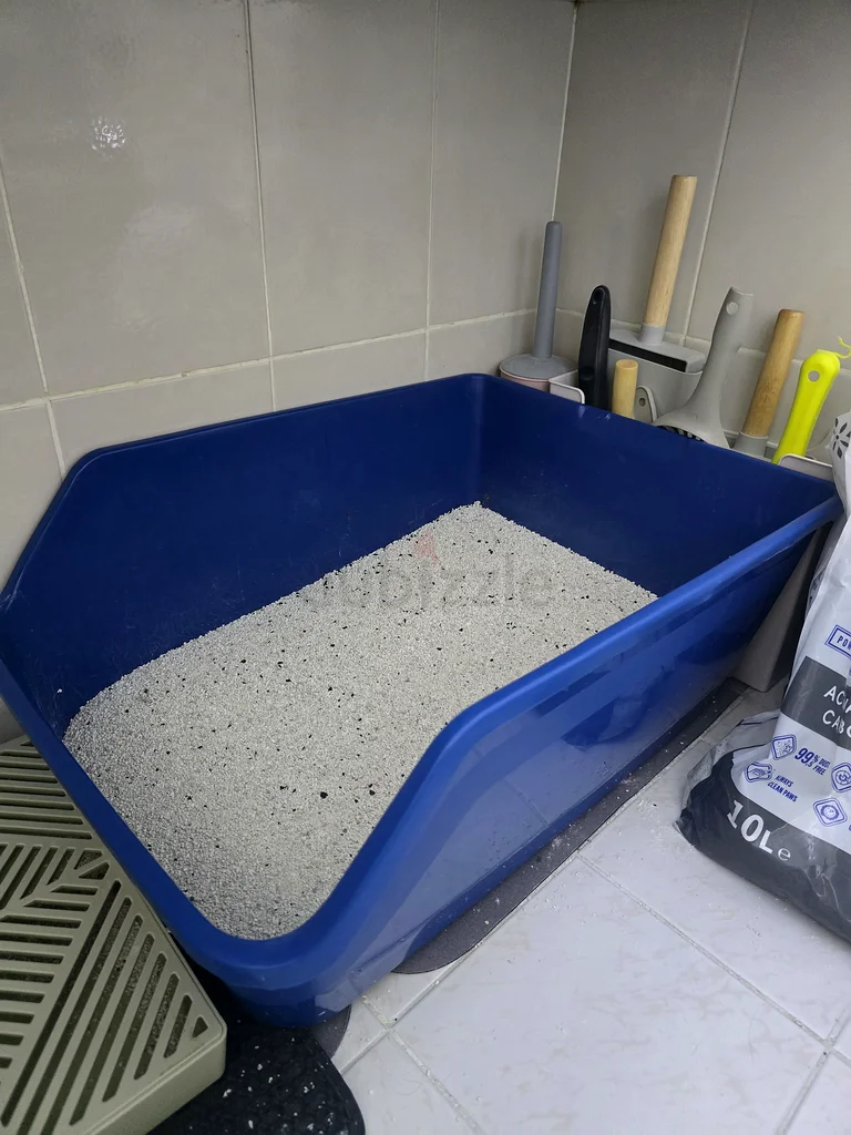 Big litter box for cat632640788061461112