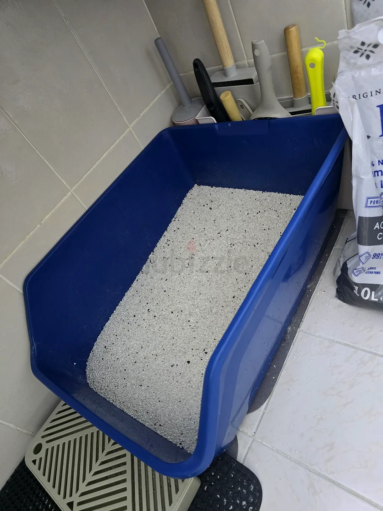 Big litter box for cat63264078806146114
