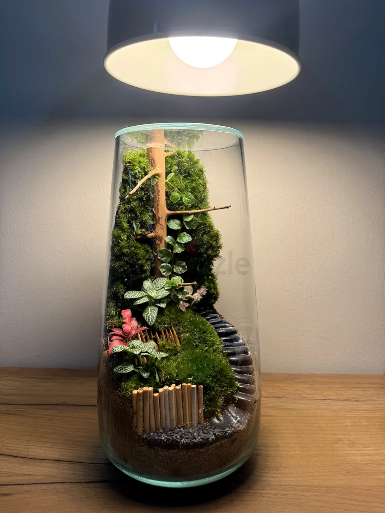 Charming Glass Terrarium - Natures Miniature Garden63183732307073112