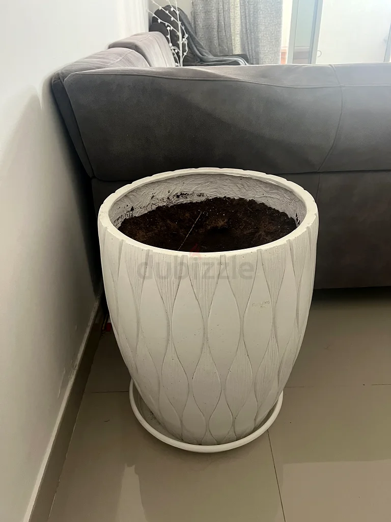 وعاء النبات63220828086787110