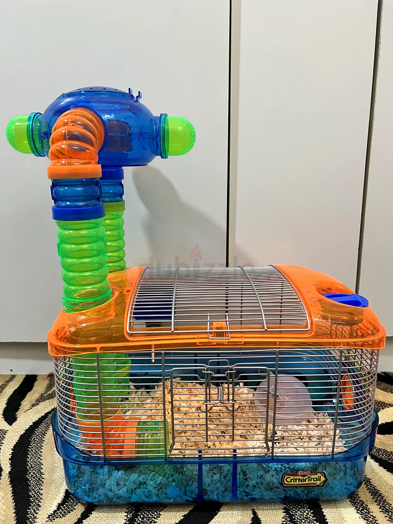 Adorable Dwarf Hamster with Kaytee CritterTrail Cage62930649344386118