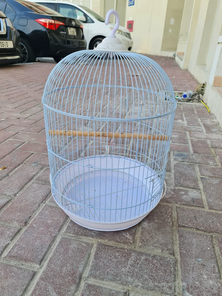 Charming Hanging Birdcage for Your Feathered Friends!62930649332353111