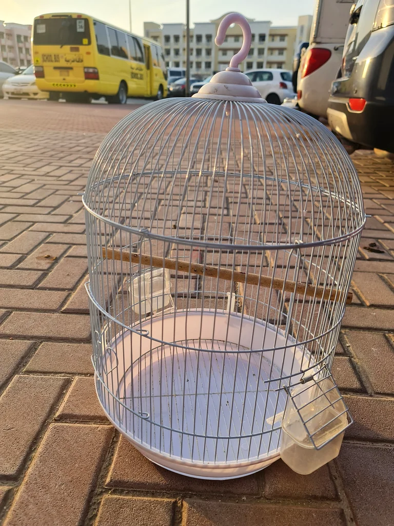 Charming Hanging Birdcage for Your Feathered Friends!62930649332353114