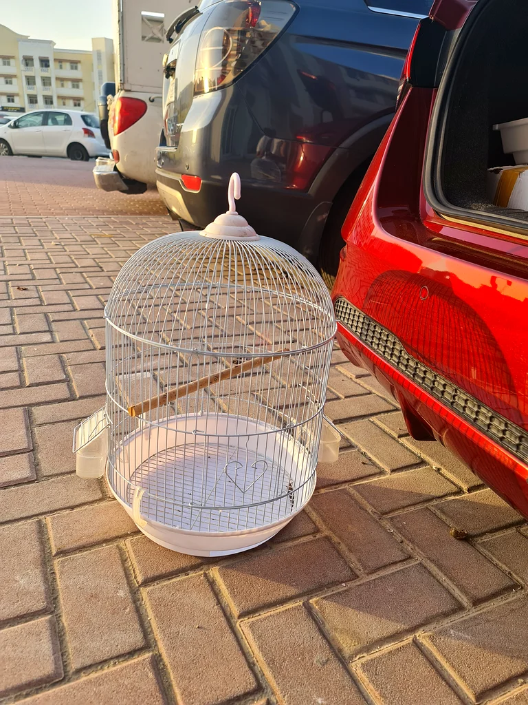 Charming Hanging Birdcage for Your Feathered Friends!62930649332353112