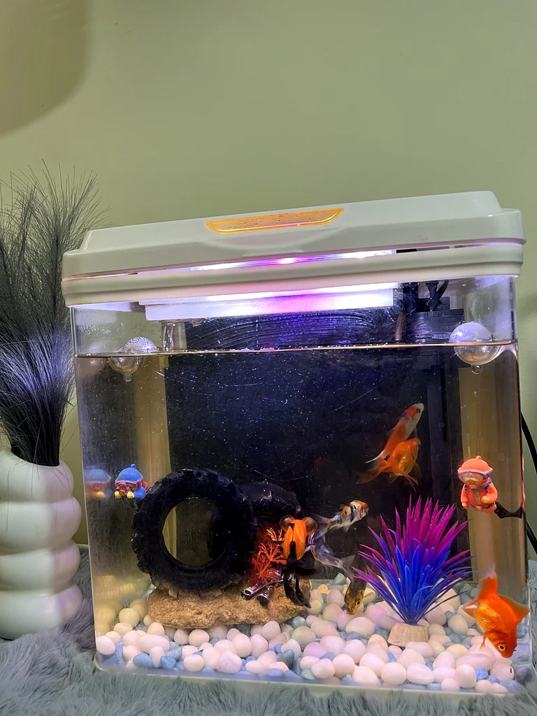 Beautifully Vibrant Aquarium with Colorful Fish629306493728011125