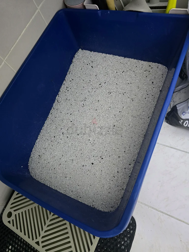 Big litter box for cat63264078806146112