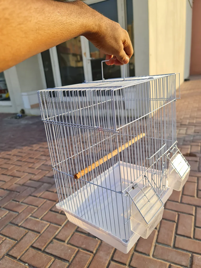 Stylish Bird Cage for Your Feathered Friends!62930649338370111
