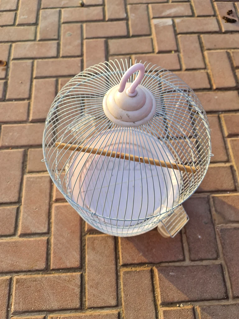 Charming Hanging Birdcage for Your Feathered Friends!62930649332353113