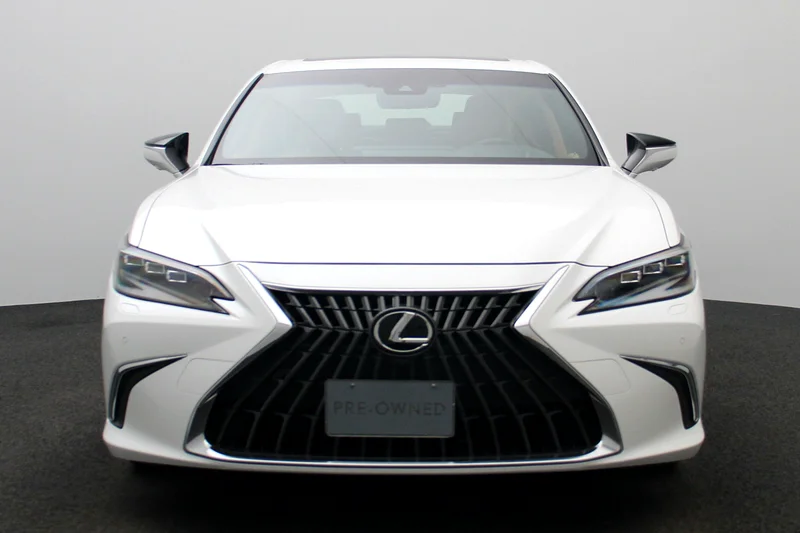 2023 ES300h سيدان H 2.5 لتر ناقل حركة متغير باستمرار بلاتينيوم * سنتان مجانيتان للصيانة *63225699309827111