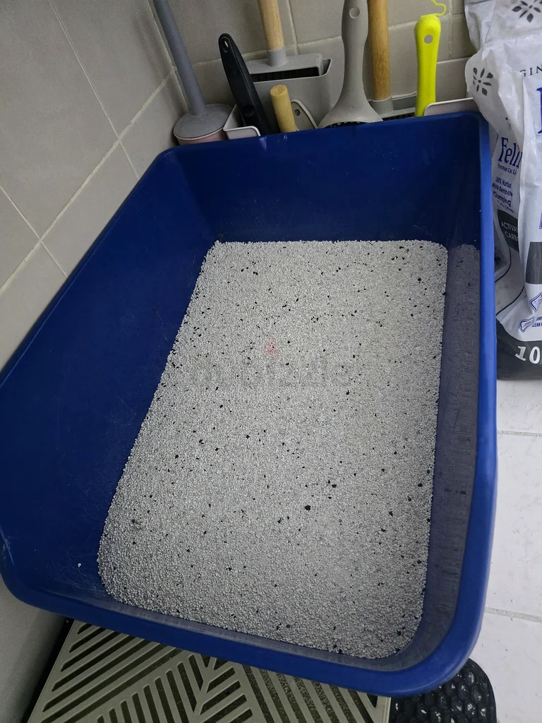 Big litter box for cat63264078806146113