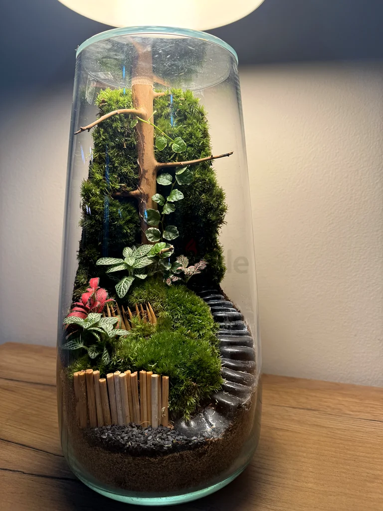 Charming Glass Terrarium - Natures Miniature Garden63183732307073111
