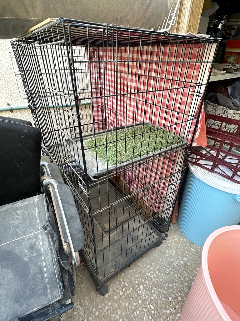Sturdy Pet Cage for Sale - Perfect for Small Animals!632321583710741118