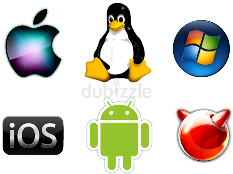 Networking and programming instructor62931683584131111