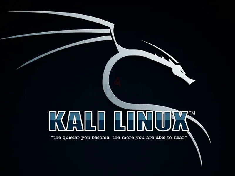 Networking and programming instructor62931683584131113