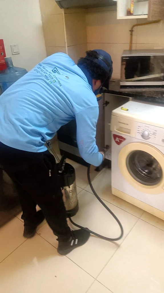 Pestcontrol62931688551810114
