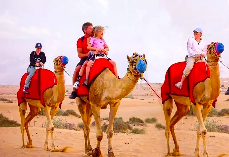 Dubai Desert safari ATV Quad bike Ride63221350870531112