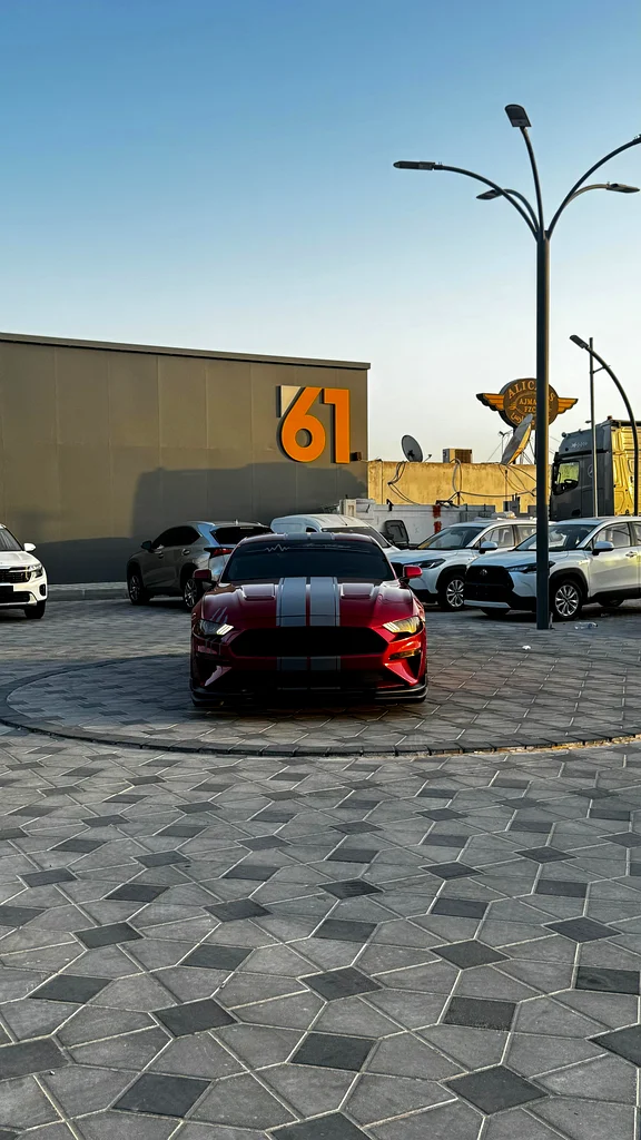 Ford Mustang EcoBoost 201863156539328131113