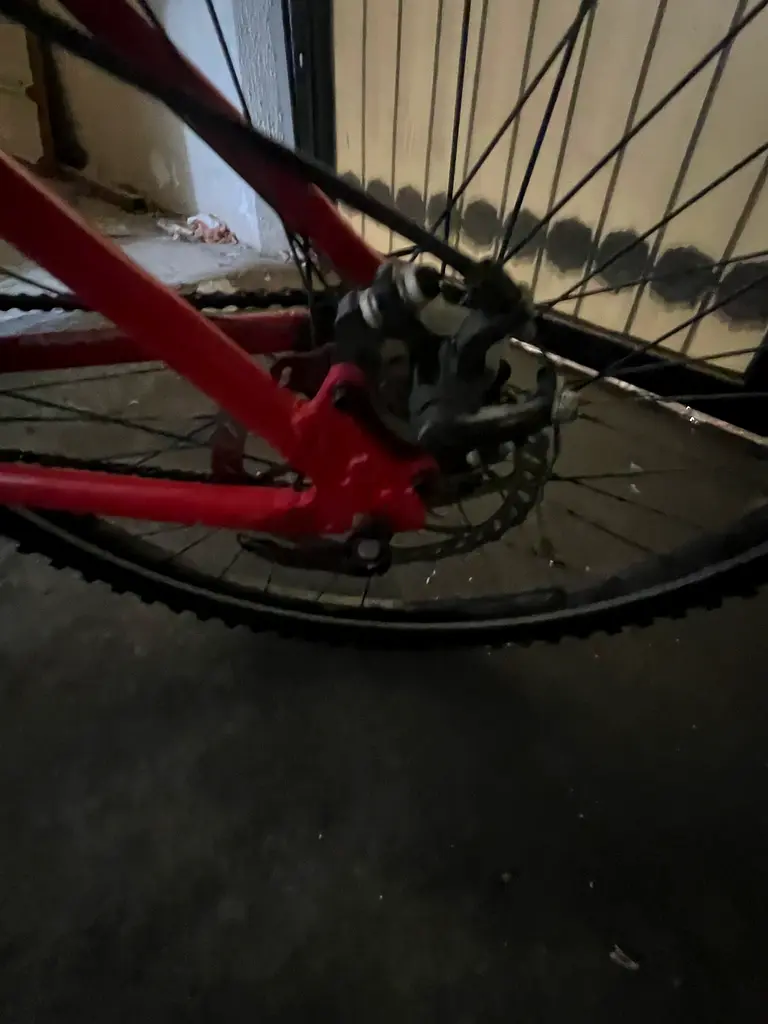 By cycle